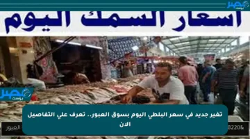 تغير جديد في سعر البلطي اليوم بسوق العبور.. تعرف على التفاصيل الآن
